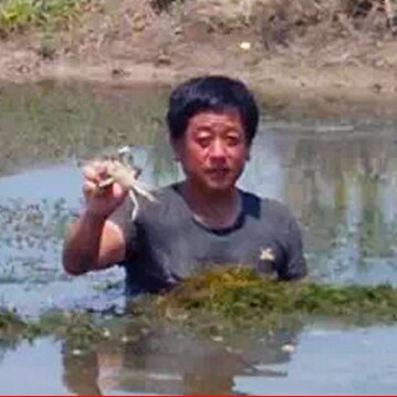 老孔蟹业大闸蟹