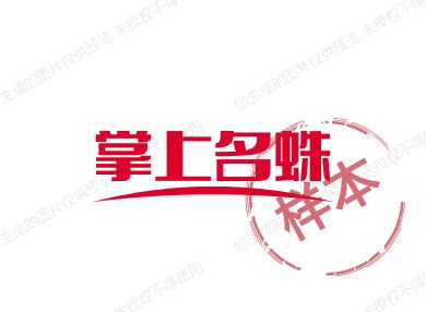 掌上名蛛爬虫用品