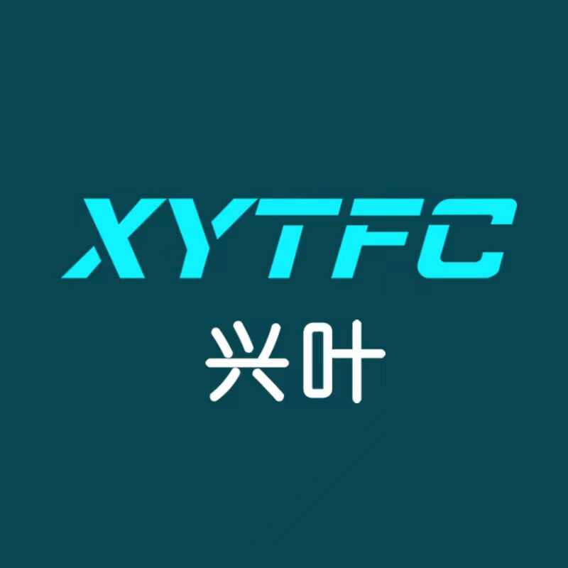 兴叶光电企业店