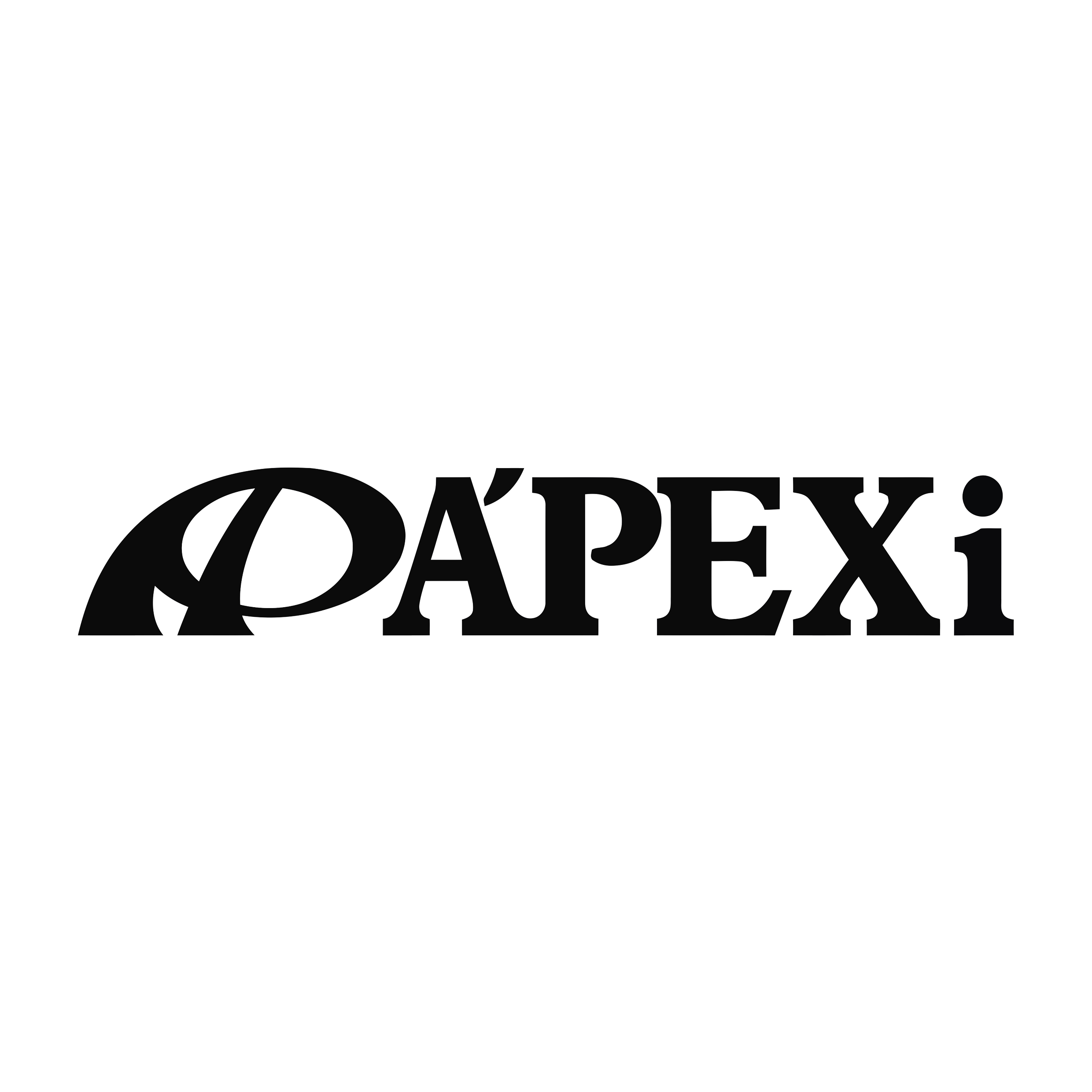 APEXi