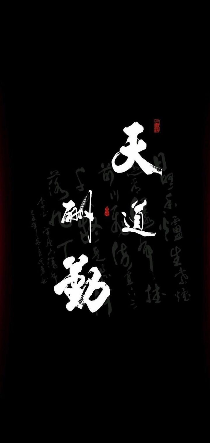 梵森大码服饰