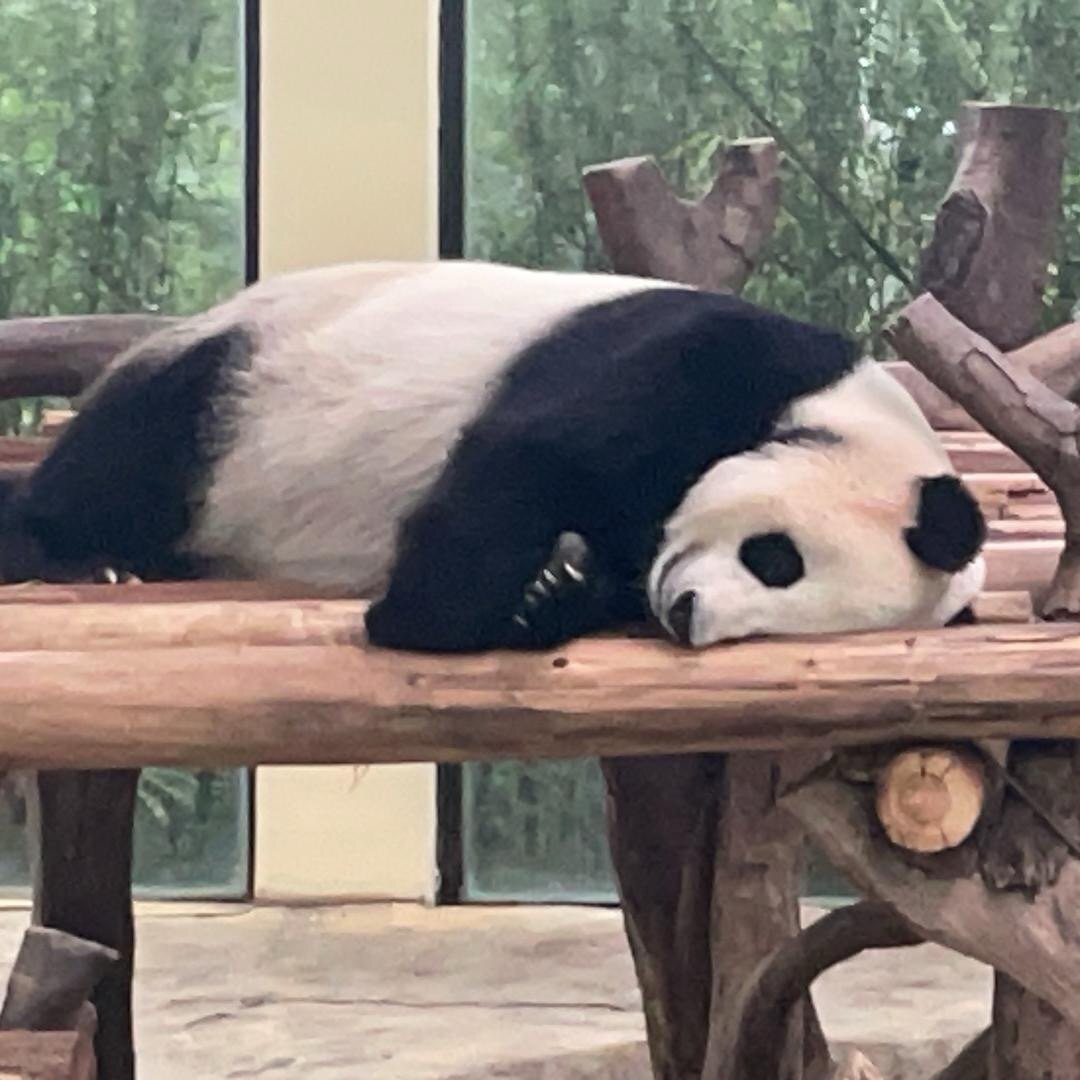 龙腾健康堂