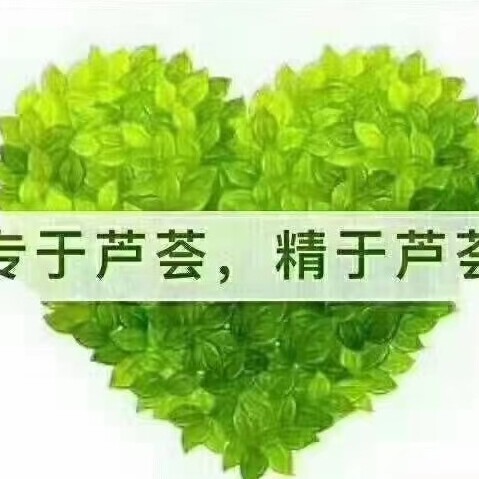 芦荟专柜店铺特价店