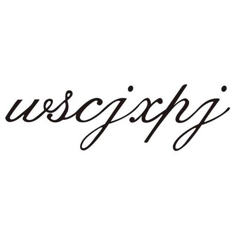 wscjxpj旗舰店