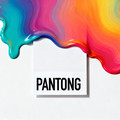 PANTONG电子色卡店