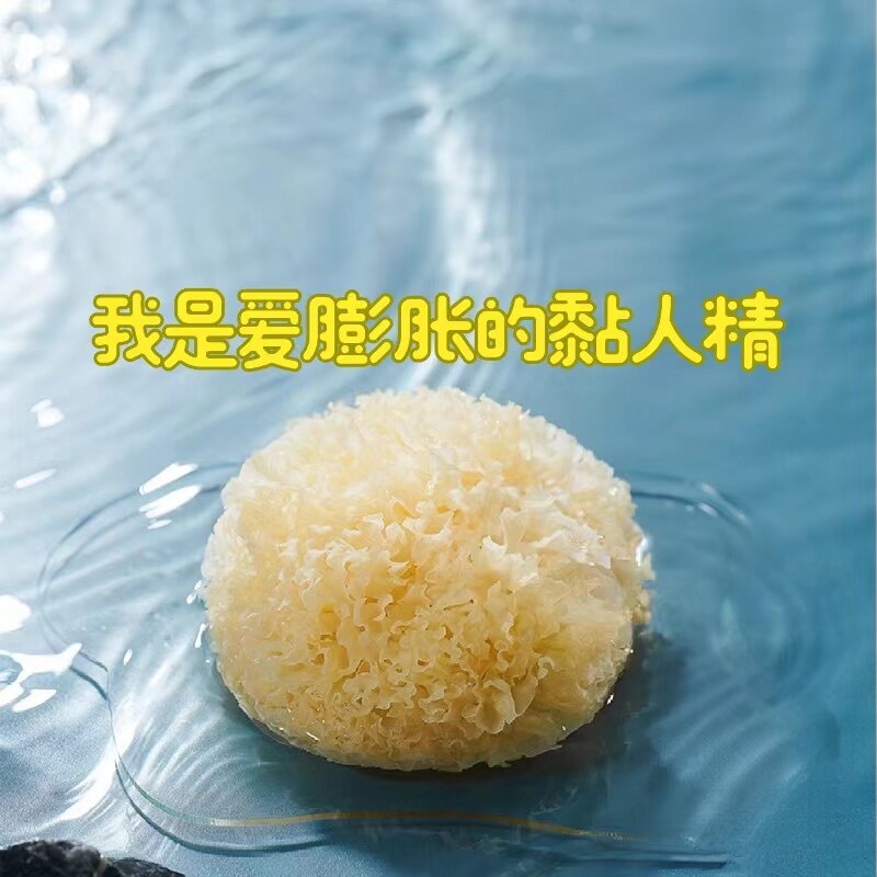 古田小跟班