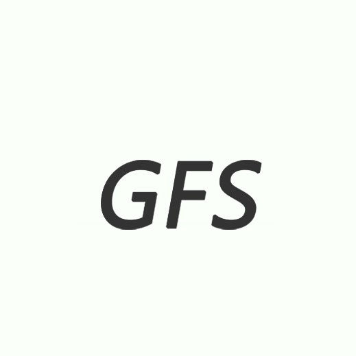 GFS品牌男鞋