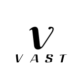 VAST大世界