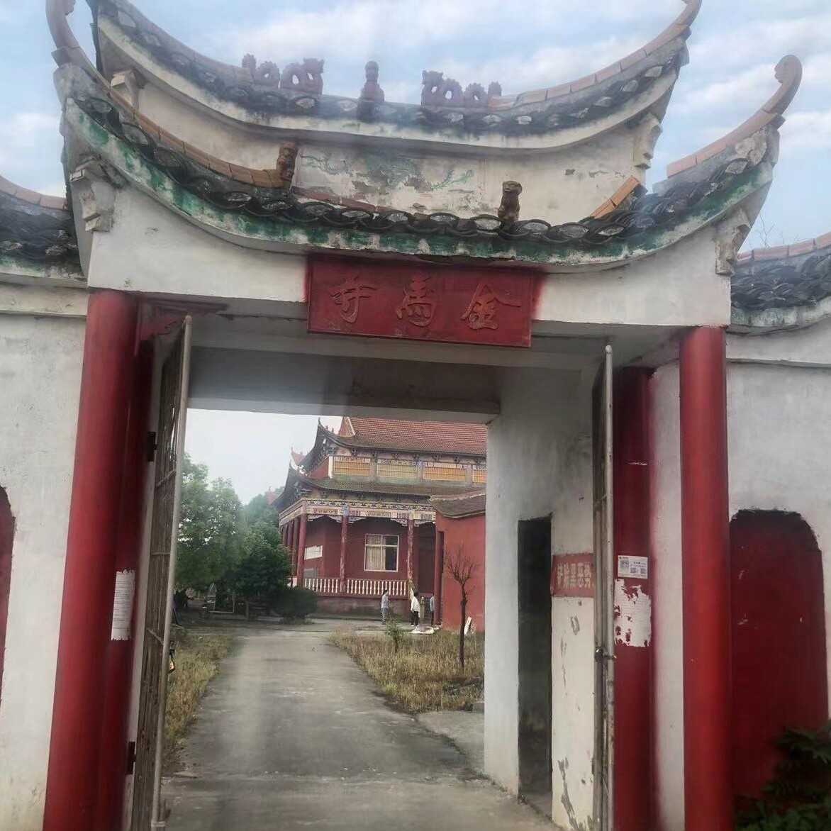 金马救生