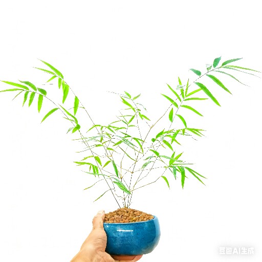 漳州内门竹基地批发