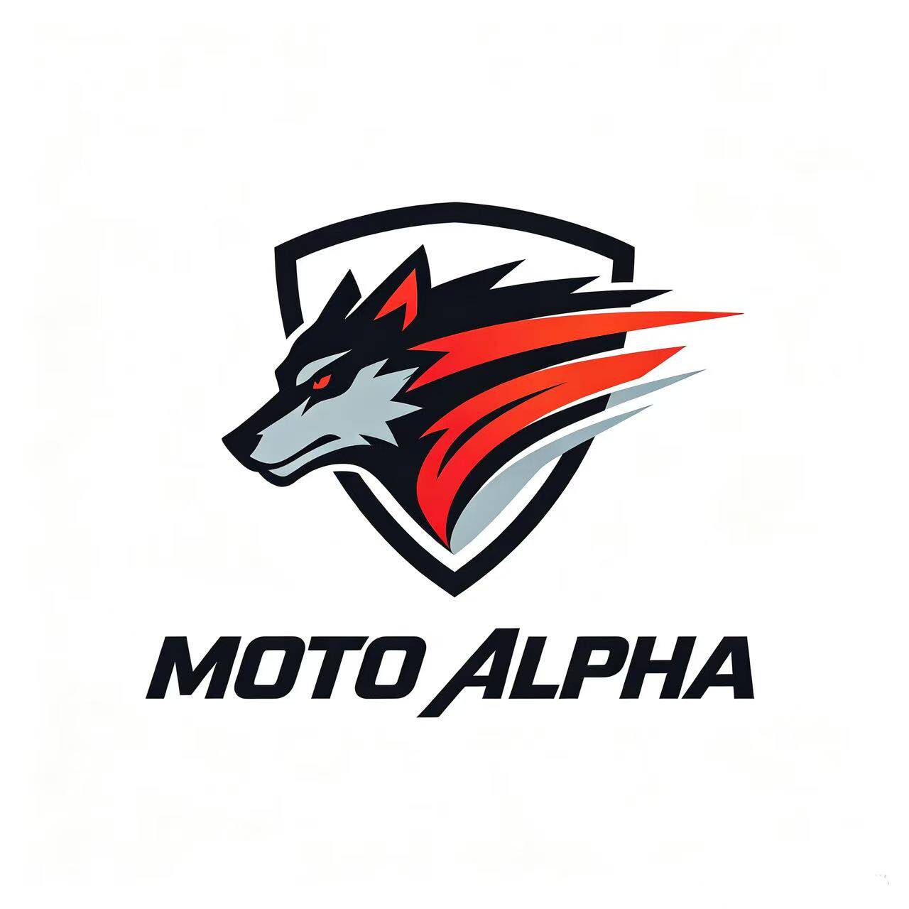 MOTOWOLF魔多狼骑行用品 店铺LOGO
