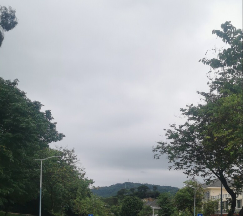 YY车贴小店