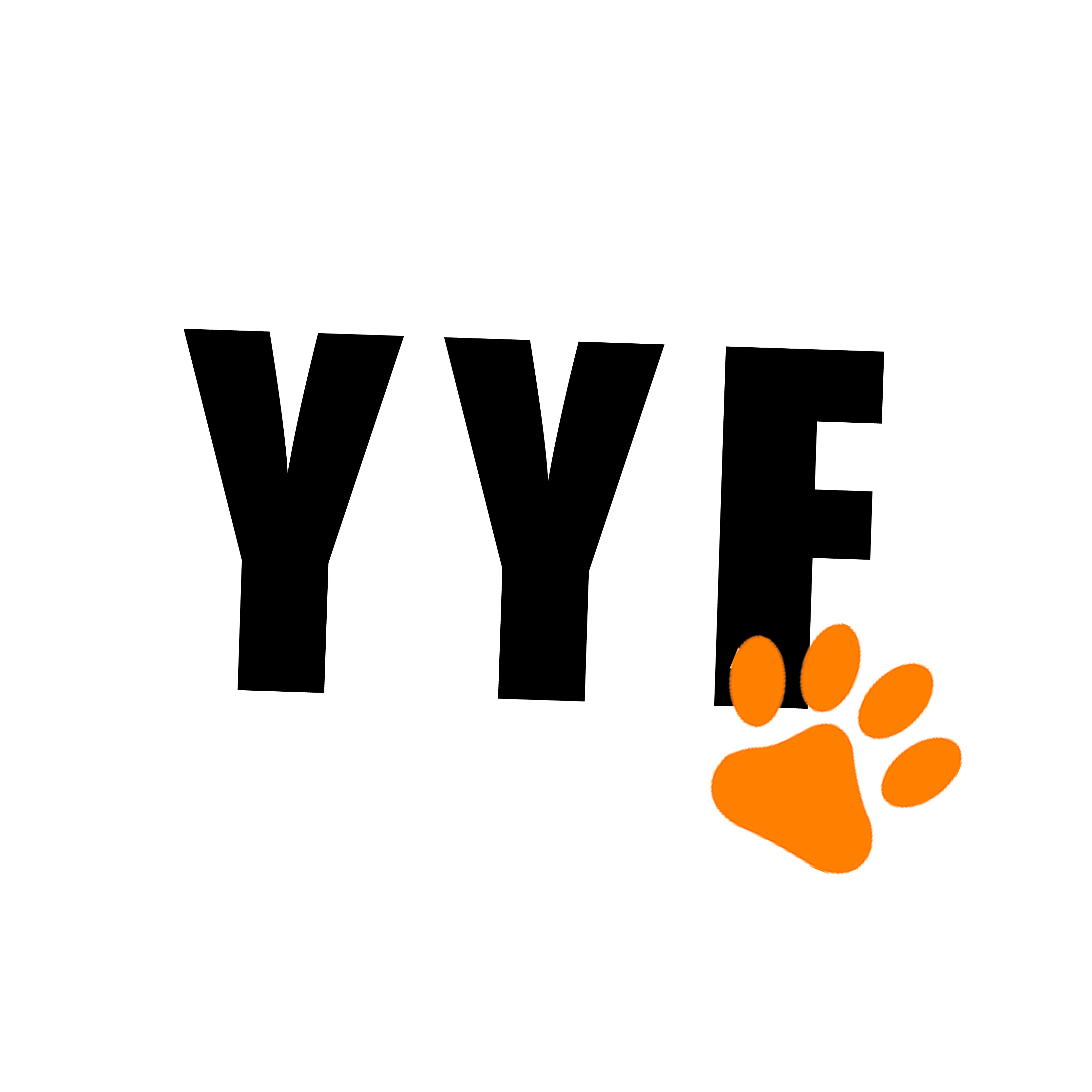 YYF数码摄影相机配件
