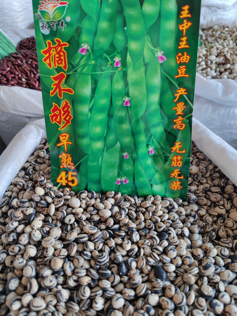菜籽双姐