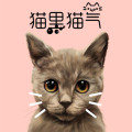 猫里猫气宠物用品店
