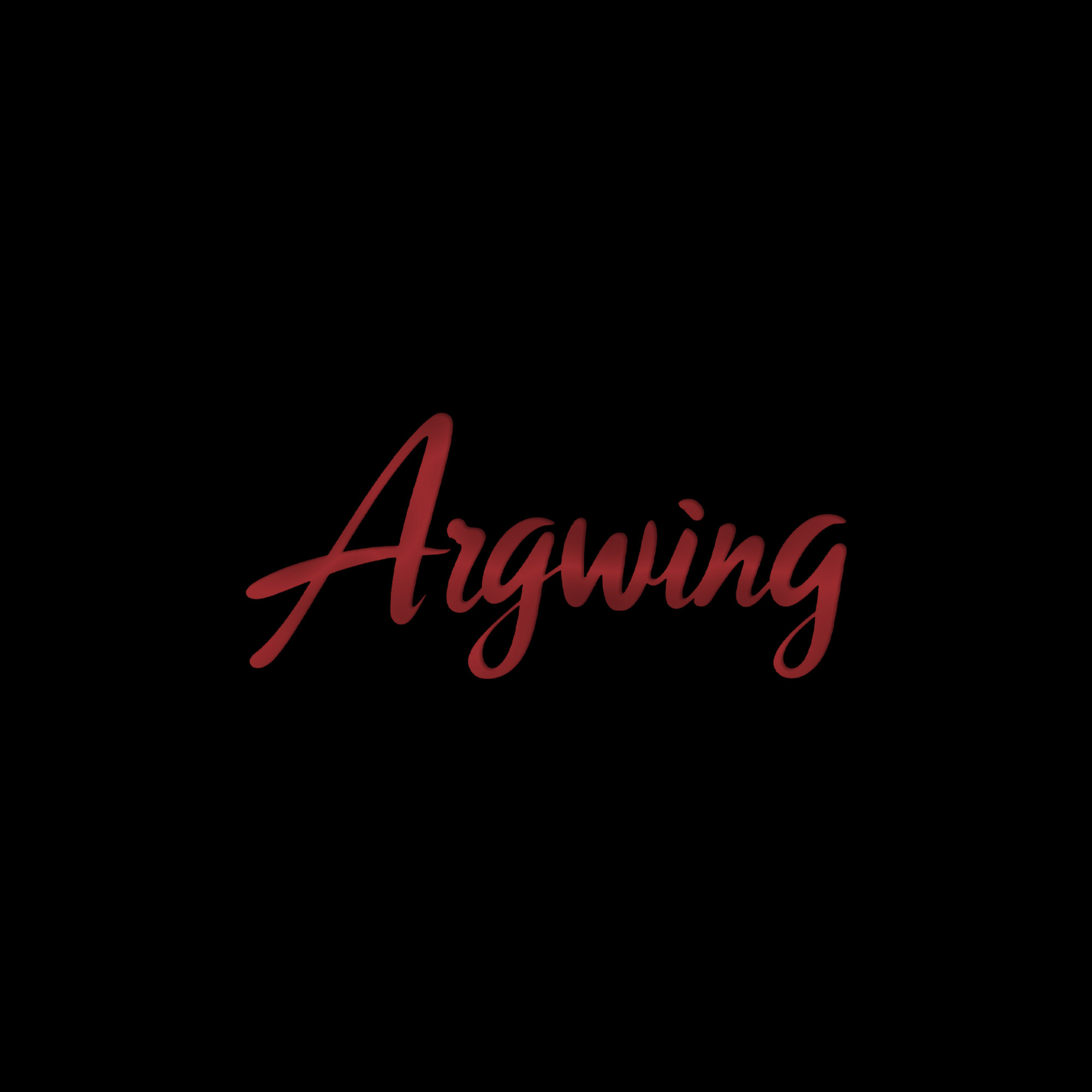银翼演艺 Argwing Studio