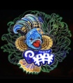 羊羊羊原生鱼