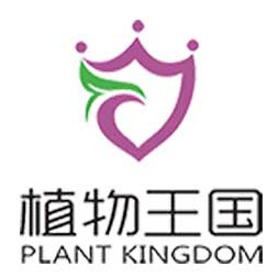 云南植物王国精油