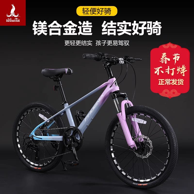 上海凤凰儿童车精品店
