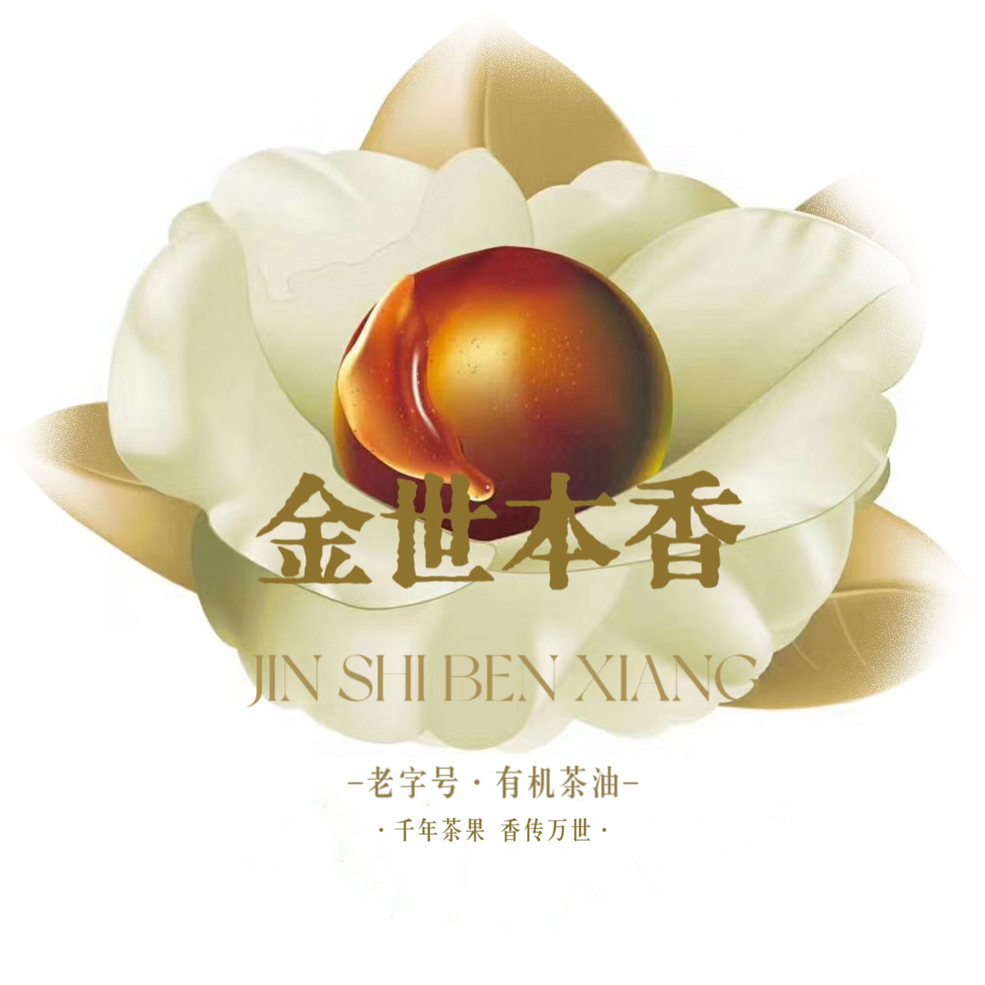 金世本香旗舰店