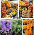 花丁花艺店