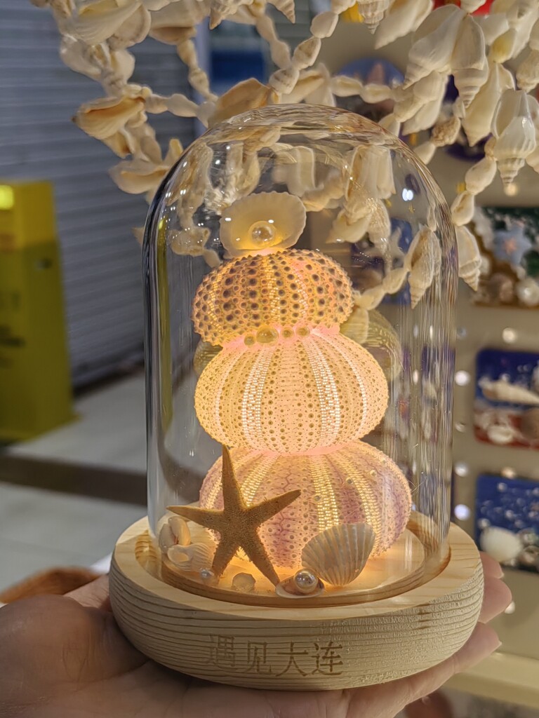 DALIAN小贝壳手作