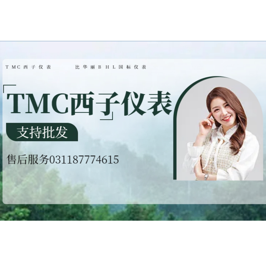TMC西子仪表