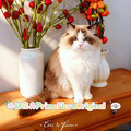 元初花卉FloraOriginal