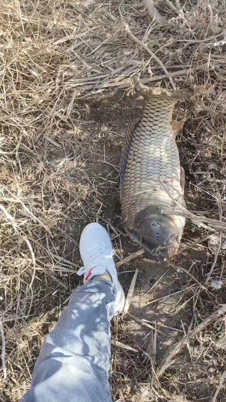 湖城猎渔可视锚钩