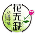 花无缺花艺绿植