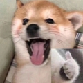 全球臻选生活馆