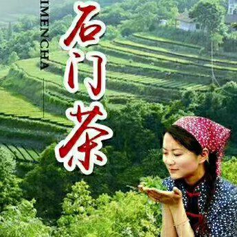 卖石门茶叶的姐姐