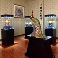 世纪金茂展柜工厂