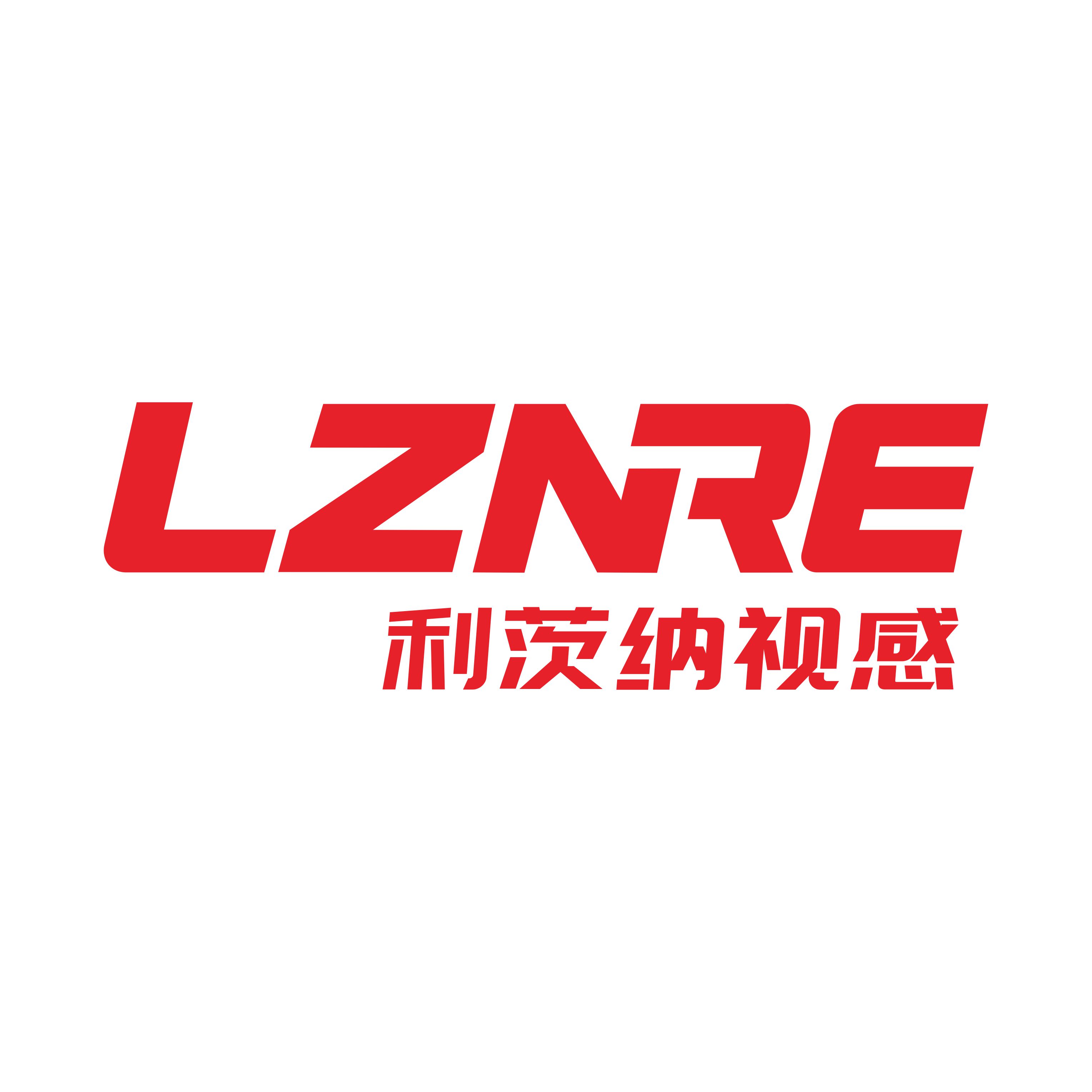 利茨纳视感科技