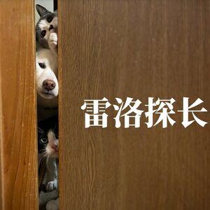 雷洛探长宠物零食工厂店