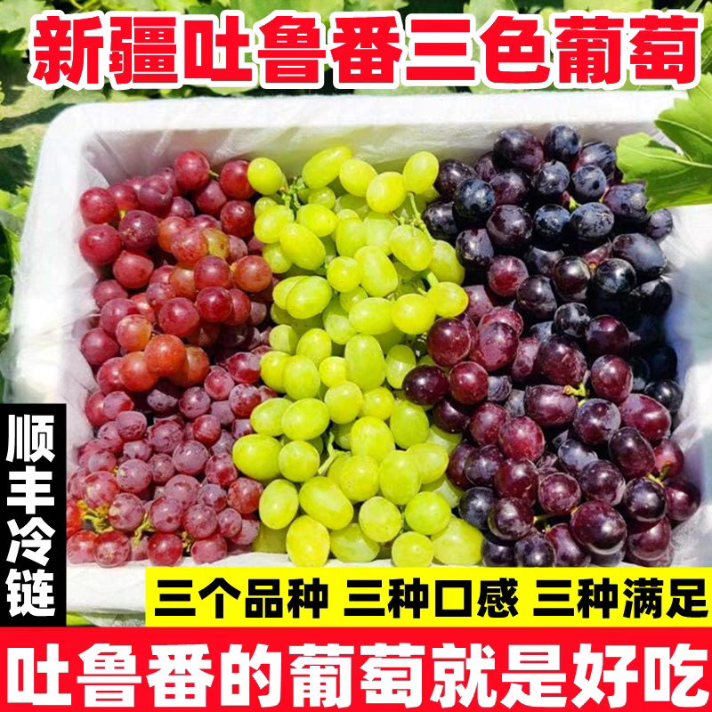 新疆果王