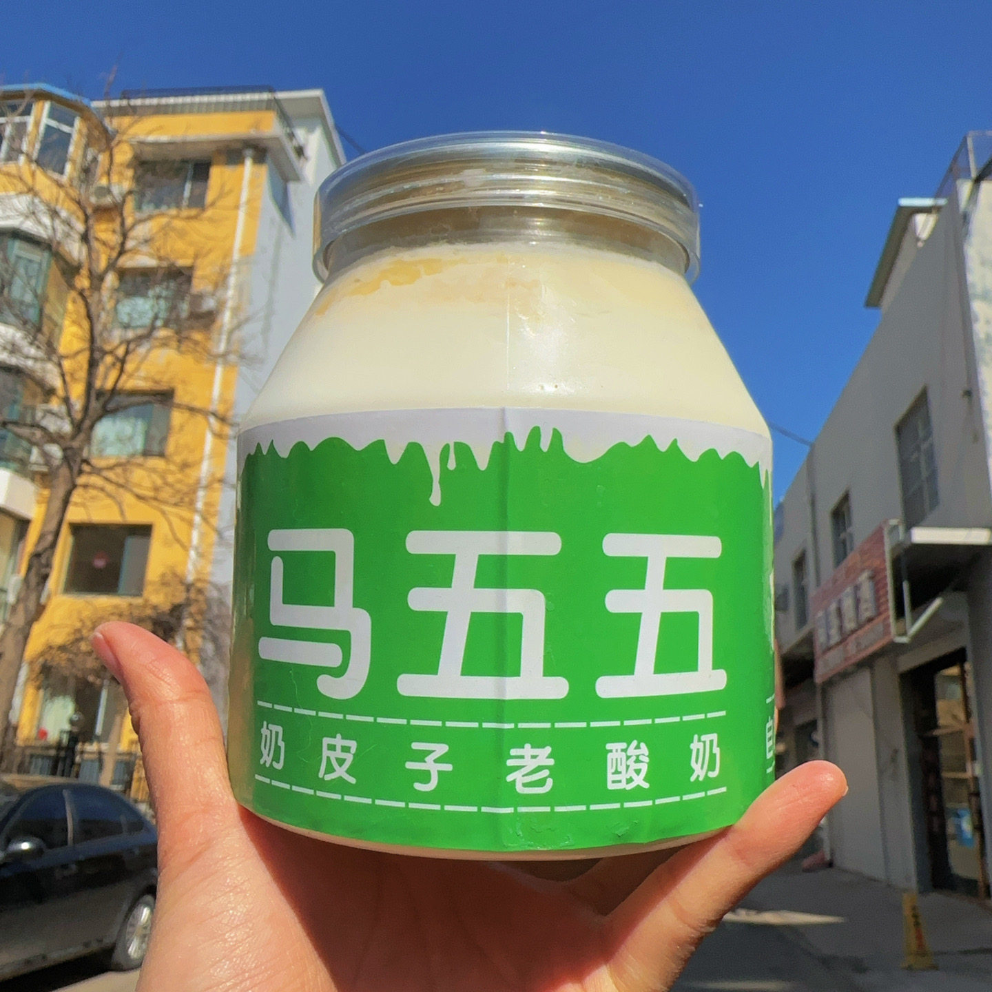 马五五老酸奶