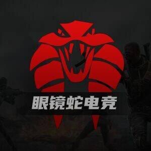 眼镜蛇(Cobra)DMA