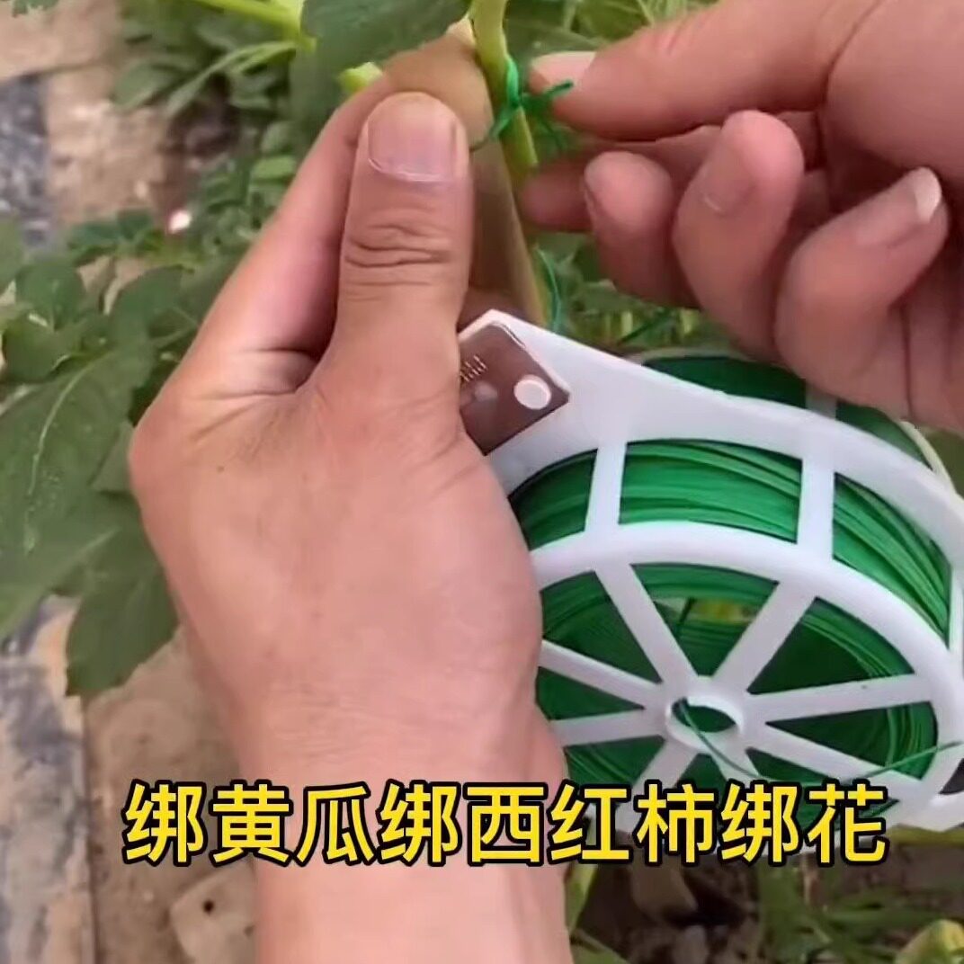 金光闪闪园艺用品店