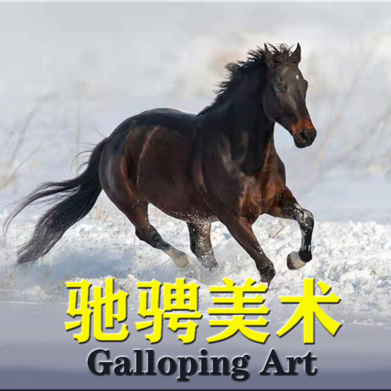 成都驰骋美术用品企业店