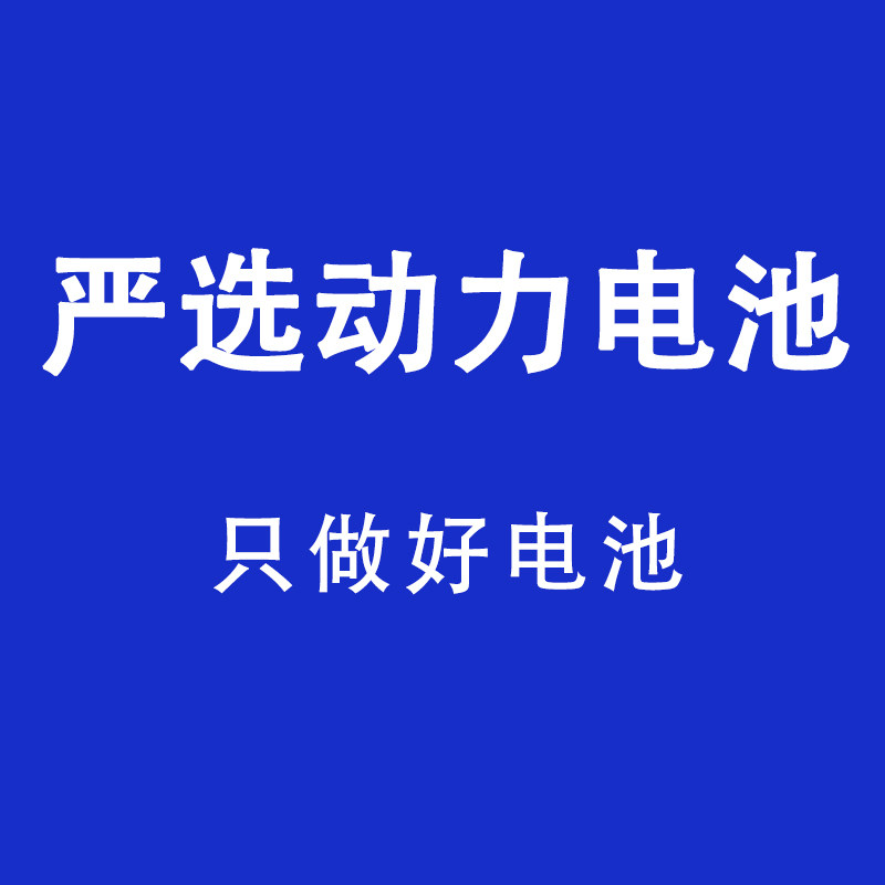严选动力电池