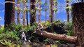 张垣火山石批发