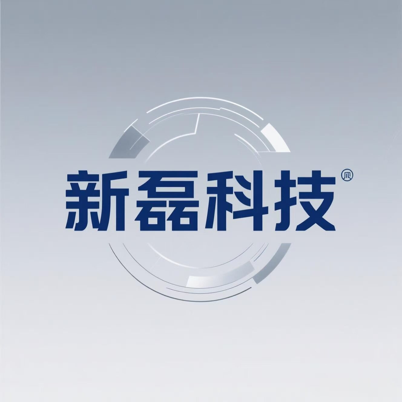 泰安新磊网络科技