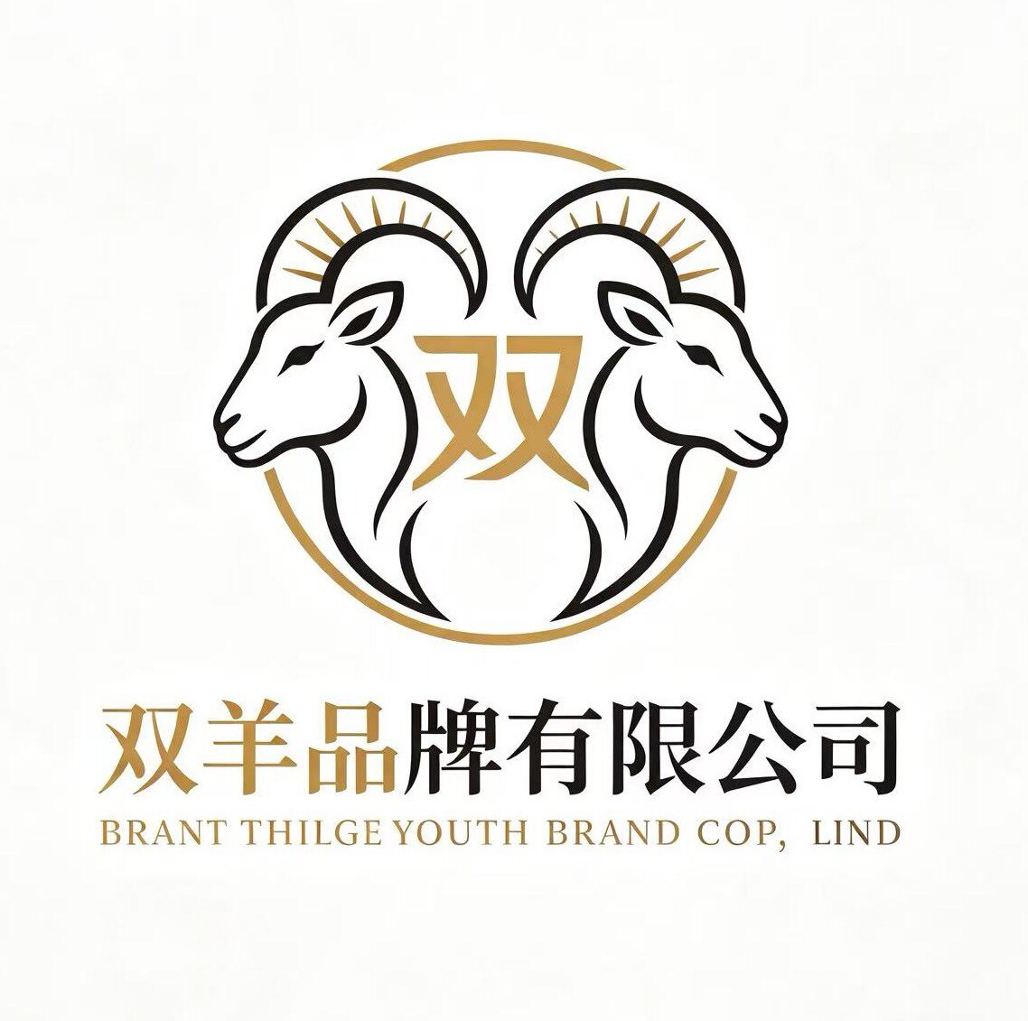 双羊品牌电子工厂店 店铺LOGO