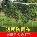 可盈雨篷布