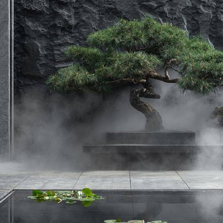 甲天下别墅庭院景观
