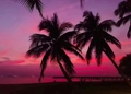 Sunset日落黄昏