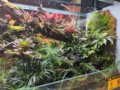 诚信水族之城