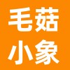 毛菇小象新品女装