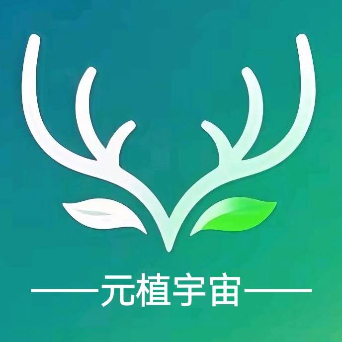 元植宇宙